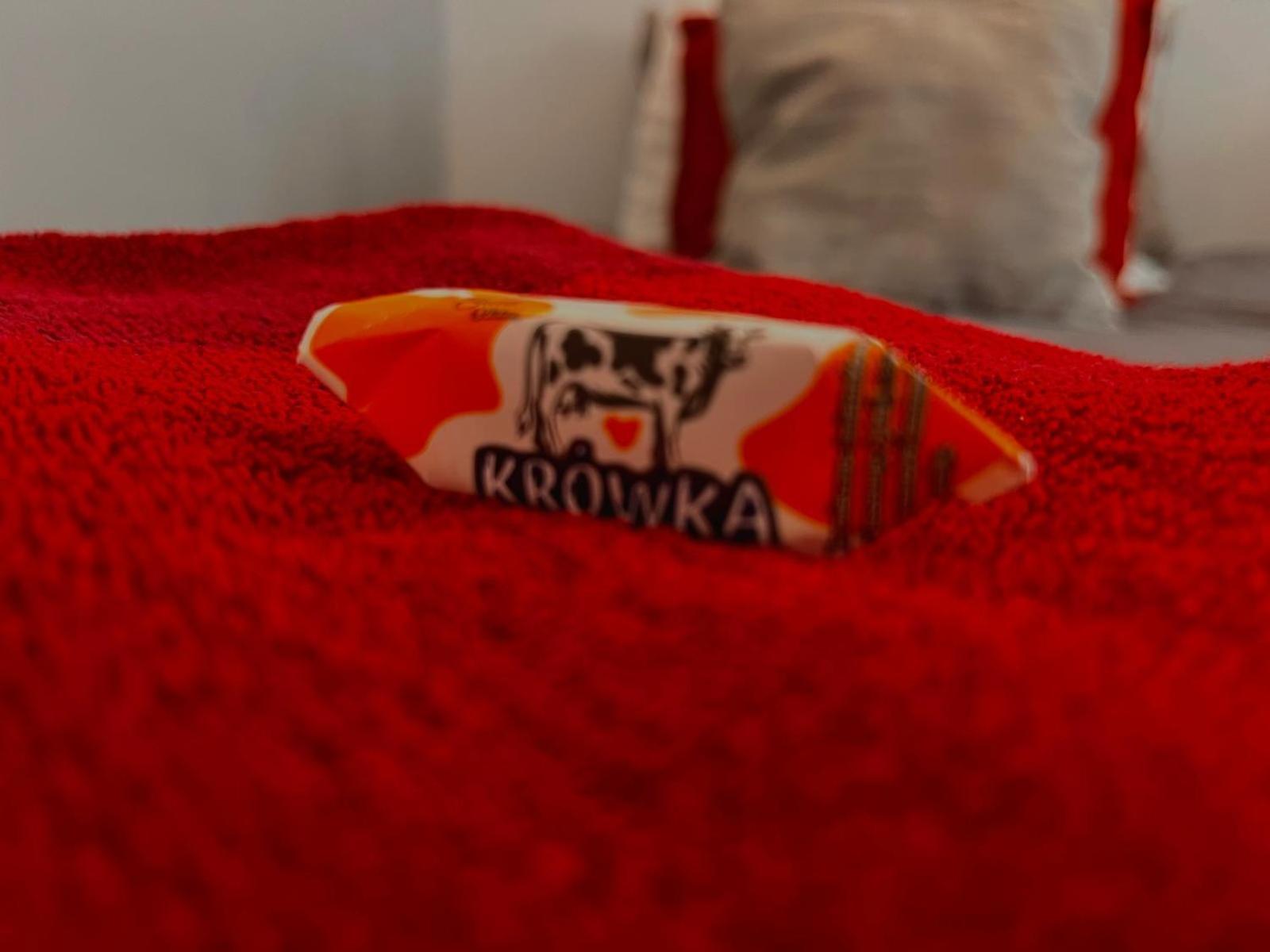 Special 1 Bed Room Condo Warszawa Center Εξωτερικό φωτογραφία